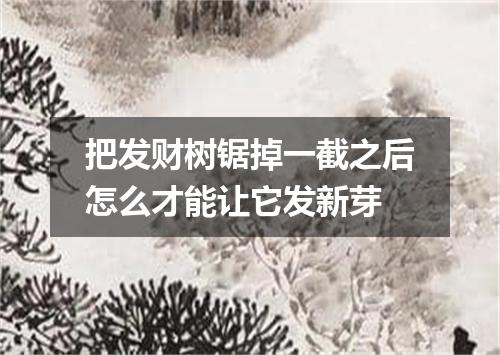 把发财树锯掉一截之后怎么才能让它发新芽