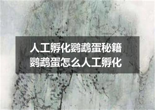 人工孵化鹦鹉蛋秘籍 鹦鹉蛋怎么人工孵化