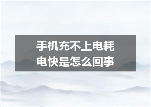 手机充不上电耗电快是怎么回事