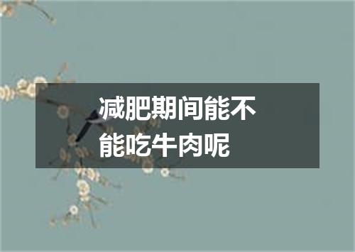 减肥期间能不能吃牛肉呢