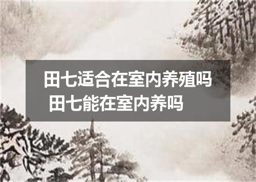 田七适合在室内养殖吗 田七能在室内养吗