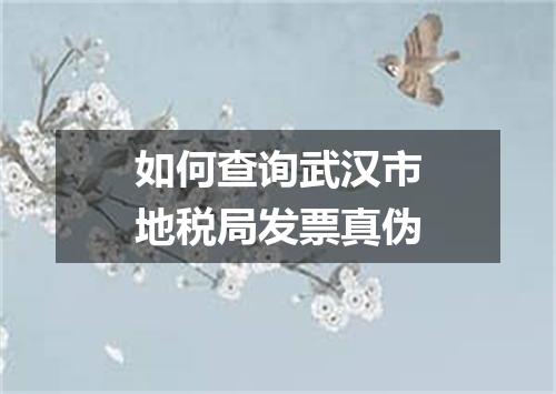 如何查询武汉市地税局发票真伪