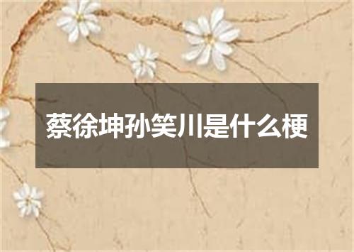 蔡徐坤孙笑川是什么梗