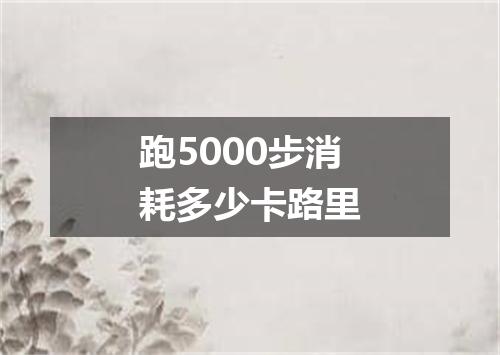 跑5000步消耗多少卡路里