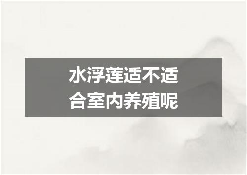 水浮莲适不适合室内养殖呢