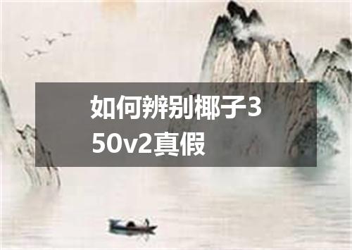 如何辨别椰子350v2真假