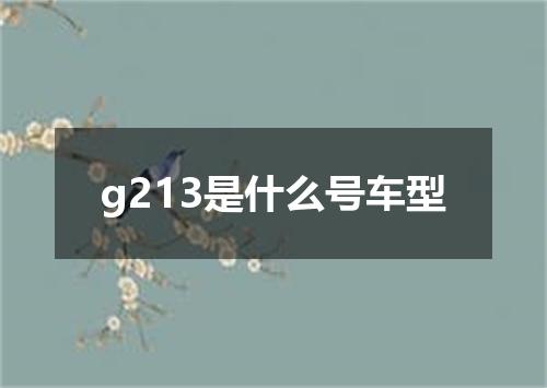 g213是什么号车型