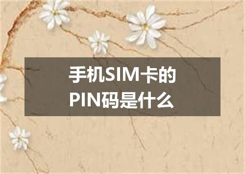 手机SIM卡的PIN码是什么