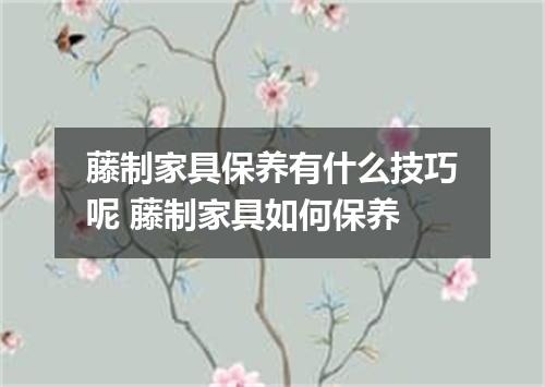 藤制家具保养有什么技巧呢 藤制家具如何保养