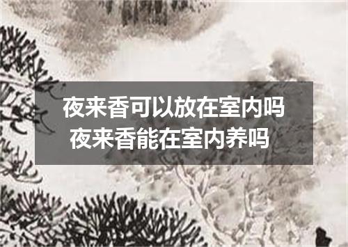 夜来香可以放在室内吗 夜来香能在室内养吗