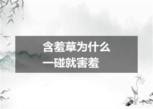 含羞草为什么一碰就害羞