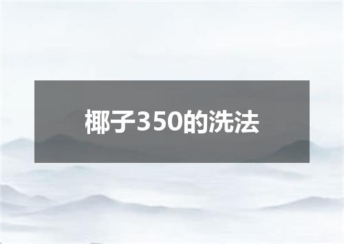 椰子350的洗法