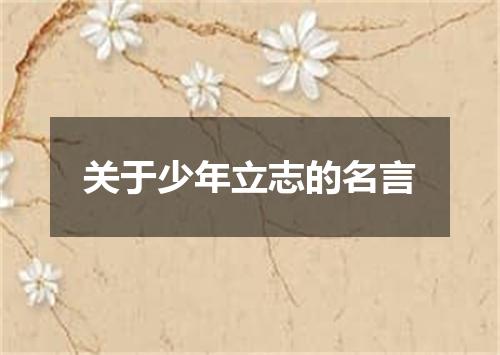 关于少年立志的名言