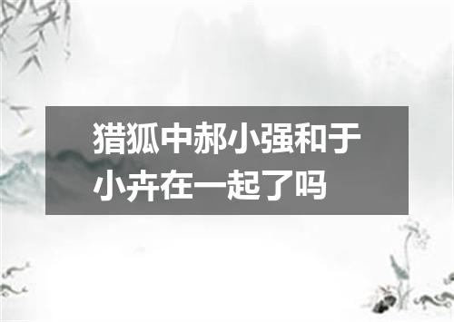 猎狐中郝小强和于小卉在一起了吗