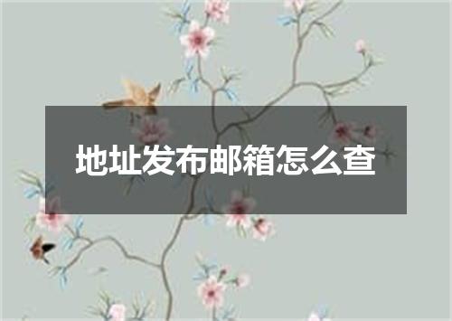 地址发布邮箱怎么查
