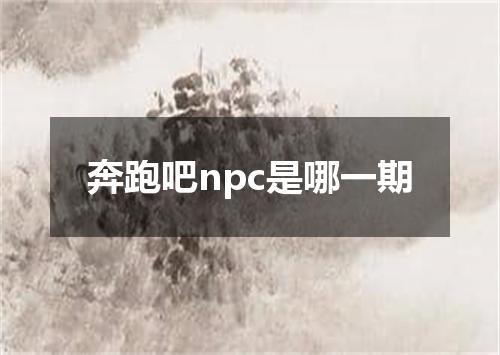 奔跑吧npc是哪一期