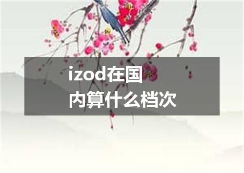 izod在国内算什么档次