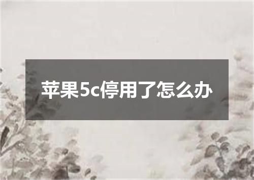 苹果5c停用了怎么办