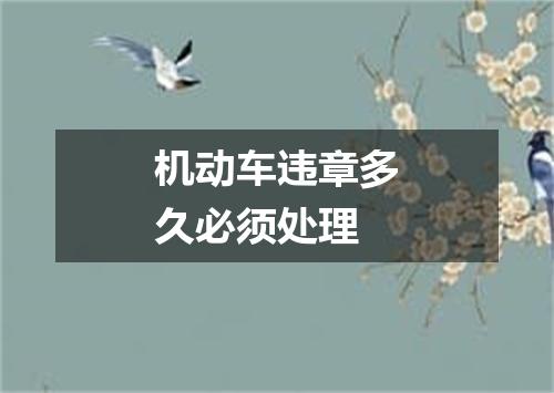 机动车违章多久必须处理