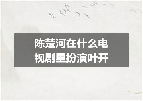 陈楚河在什么电视剧里扮演叶开