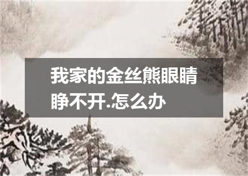 我家的金丝熊眼睛睁不开.怎么办