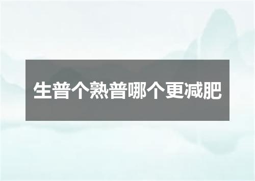 生普个熟普哪个更减肥