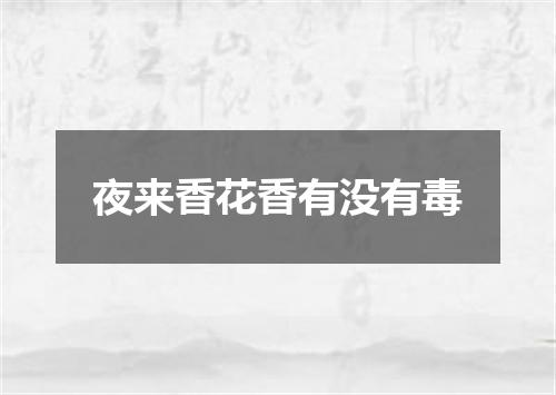 夜来香花香有没有毒