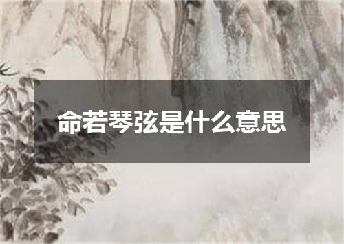 命若琴弦是什么意思