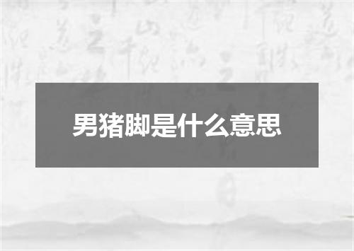 男猪脚是什么意思