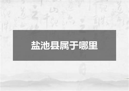 盐池县属于哪里