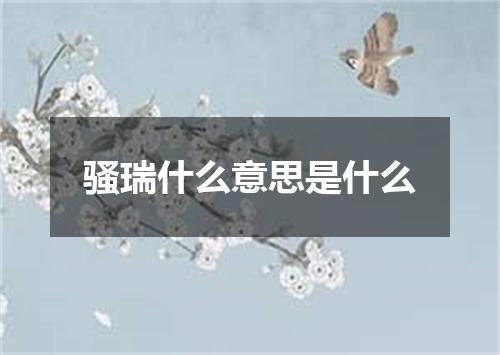 骚瑞什么意思是什么