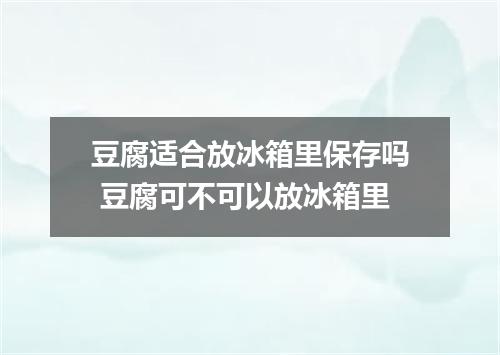豆腐适合放冰箱里保存吗 豆腐可不可以放冰箱里