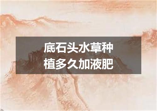 底石头水草种植多久加液肥