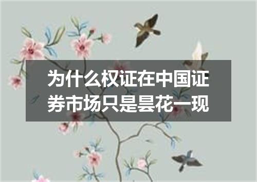 为什么权证在中国证券市场只是昙花一现