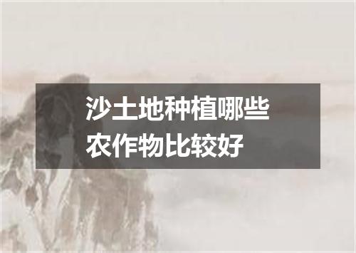 沙土地种植哪些农作物比较好
