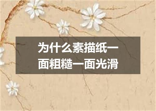 为什么素描纸一面粗糙一面光滑