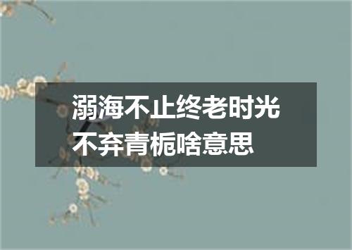 溺海不止终老时光不弃青栀啥意思