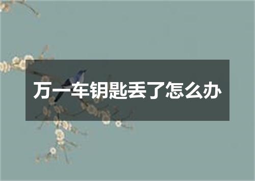 万一车钥匙丢了怎么办