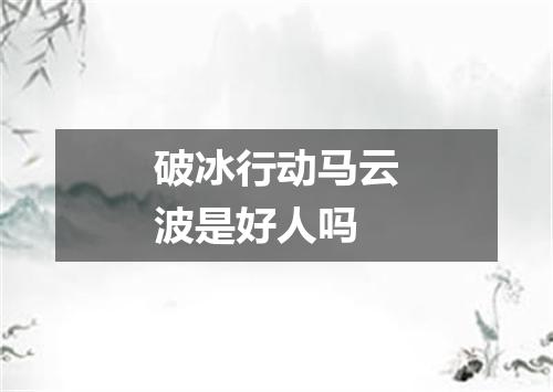 破冰行动马云波是好人吗