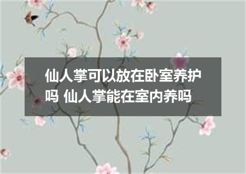 仙人掌可以放在卧室养护吗 仙人掌能在室内养吗