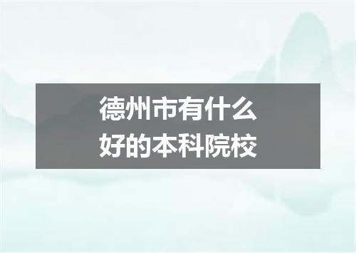 德州市有什么好的本科院校