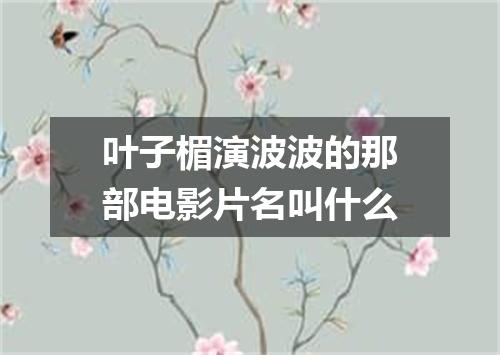 叶子楣演波波的那部电影片名叫什么