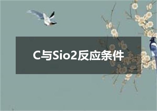C与Sio2反应条件