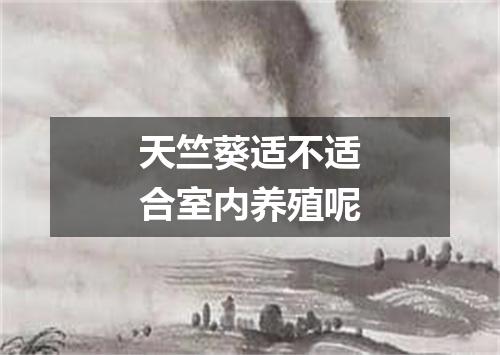 天竺葵适不适合室内养殖呢