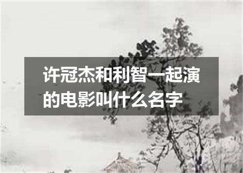 许冠杰和利智一起演的电影叫什么名字