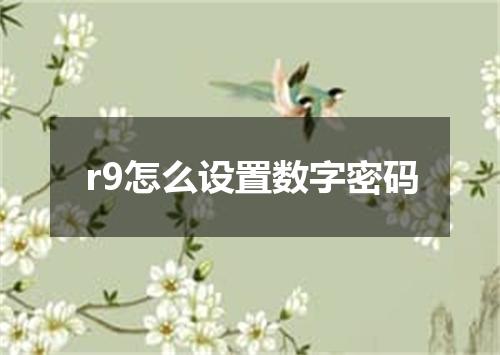 r9怎么设置数字密码