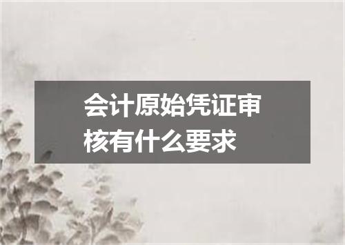 会计原始凭证审核有什么要求