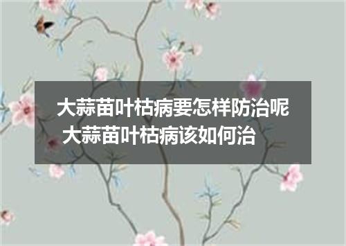 大蒜苗叶枯病要怎样防治呢 大蒜苗叶枯病该如何治