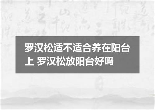 罗汉松适不适合养在阳台上 罗汉松放阳台好吗