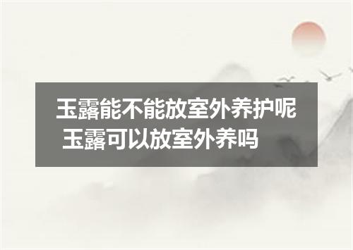 玉露能不能放室外养护呢 玉露可以放室外养吗